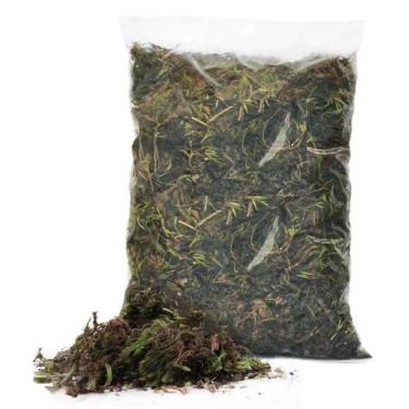 Imagem de 1 litro - Musgo Verde - Desidratado Decoração Arranjo Flores - VIVA FL