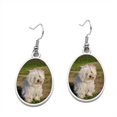 Imagem de 1 brinco maltês – Brincos pendentes para meninas – Presente de festa de aniversário dos namorados