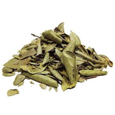 Imagem de Boldo do Chile (Granel 250g) - ZONA CEREALISTA ONLINE