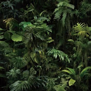 Imagem de FunStick Papel de parede verde tropical de 44,5 cm x 9 m, folhas de floresta escura, papel de parede, papel de parede amigável para locatário, armário de cozinha, papel de contato preto autoadesivo