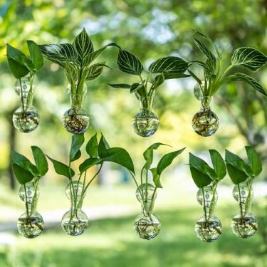 Imagem de wangsdjy Estações de propagação de janelas, vasos de propagação para plantas, vasos de vidro com ganchos de ventosa, fácil de instalar, vaso de parede suspenso sem pregos, estação de propagação de