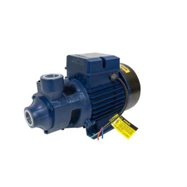 Imagem de Motobomba Periférica 1cv 60Hz Bivolt ICS-100AB Eletroplas