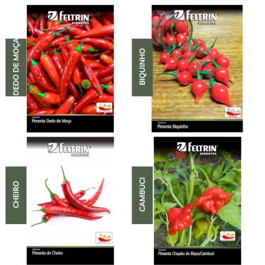 Imagem de Kit 4 Sementes Pimentas Horta Em Casa Jardins Vasos (Bico, Dedo de Moça, Malagueta, Cambuci)