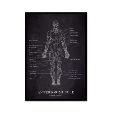 Imagem de Arte de anatomia humana, pintura em tela médica, vintage, esqueleto muscular, educação, pôster, impressão de imagem de parede, decoração de clínica hospitalar (SKU1,8 x 30,5 cm = (20 x 30 cm), moldura