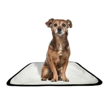 Imagem de Tapete Pet Impermeável Educador Dog Oferta 3 Un Pp 40X50Cm - Shelby Mo