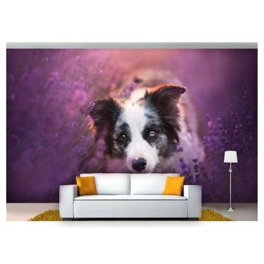 Imagem de Papel De Parede Animais Border Collie Flores  Anm168