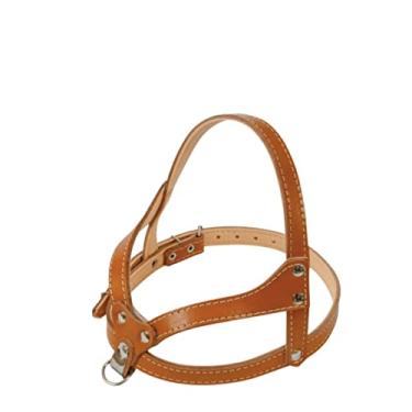 Imagem de Coleira Peitoral Em Couro Reforçada Regulável Luxo Cachorro N.7/8 (7, Caramelo)