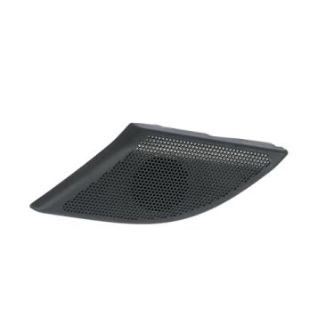 Imagem de GM Genuine Parts 96673605 Alto-falante e grade de rádio superior da porta da frente