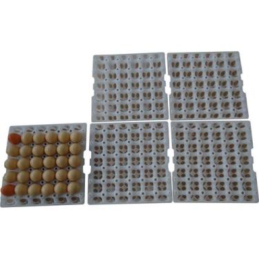 Imagem de kit com 05 Bandejas Plástica para Transporte De Ovos - CHOCMASTER