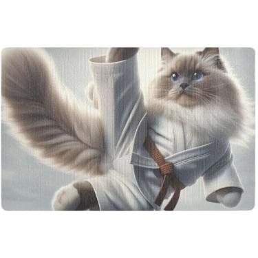 Imagem de TSENQUE Tapete de porta da frente engraçado de gato de karatê Ragdoll personalizado, tapete de entrada à prova d'água, tapetes de entrada antiderrapantes para ambientes internos 81 x 50 cm