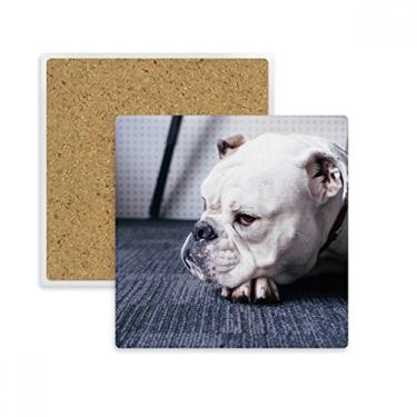 Imagem de Porta-copos quadrado cinza com imagem de animal de estimação de cachorro quadrado, suporte de subplaca, pedra isolante