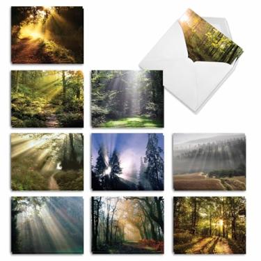Imagem de The Best Card Company Shining Through - 20 cartões de agradecimento em caixa sortidos com envelopes (10 x 13 cm) - com paisagens iluminadas pelo sol de tirar o fôlego AM1735STG-B2x10