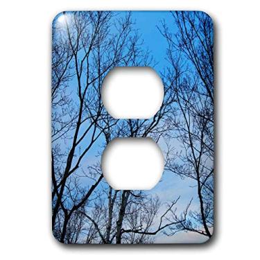 Imagem de 3dRose Tampa de tomada com 2 plugues para árvore Lsp_6378_6