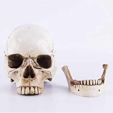 Imagem de Modelo de cabeça de caveira humana, tamanho real, artesanato, decoração de Halloween