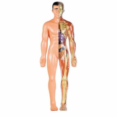 Imagem de Jogo Educativo - Anatomia - Grow