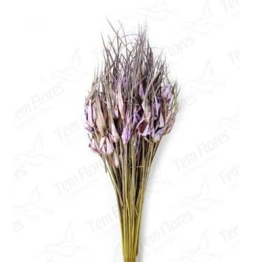 Imagem de Capim Estrela Flor Desidratada Buque Flores Secas - Pense Flores, Lilá