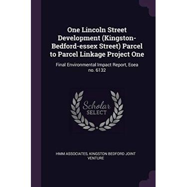 Imagem de One Lincoln Street Development (Kingston-Bedford-essex Street) Parcel to Parcel Linkage Project One: Final Environmental Impact Report, Eoea no. 6132