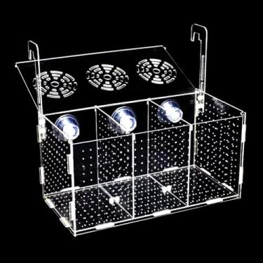 Imagem de JOBEDE Caixa de Acrílico para Criar e Isolar Peixes, 30 x 15 x 15 cm, com Ventosas e Divisões Isoladas para Aquário