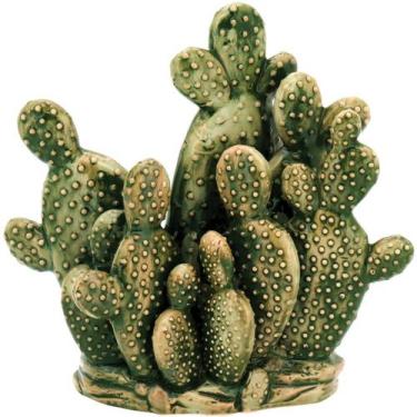 Imagem de Adorno Áridos Home&Co 27x28x12cm Cerâmica Verde Decoração para Casa Sa