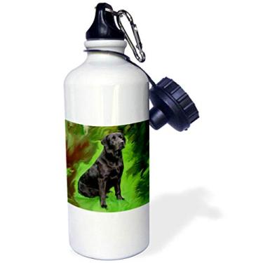 Imagem de 3dRose Garrafa de água esportiva Black Labrador Retriever, 600 ml, branca