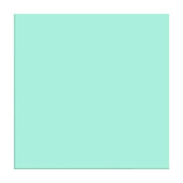 Imagem de Rolo Siser EasyWeed fosco elástico HTV 38 cm x 1,5 m – Vinil de transferência de calor com ferro em vinil (menta)