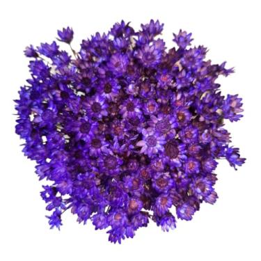 Imagem de Buque de Flores Artificiais Sempre Viva - Kit com 1.600 Flores, Tipo 1 Extra, Arranjo Decorativo para Presentes e Decoração(Roxo,4 buquês (800 florzinhas))