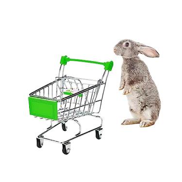 Imagem de MANON ROSA Mini carrinho de compras coelho brinquedo pequeno animal supermercado carrinho de mão ouriços papagaio pássaro gatos ratos porcos holandeses hamsters porquinho da índia lagarto chinchila