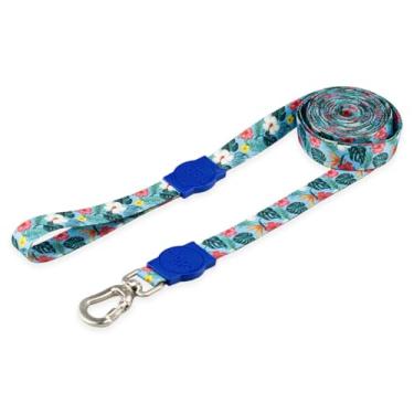 Imagem de Mood Pet Coleira Guia 10 Metros Para Cães Cachorro Adestramento Passeio Porte Grande Médio Pequeno (Sunny Blue, PP)