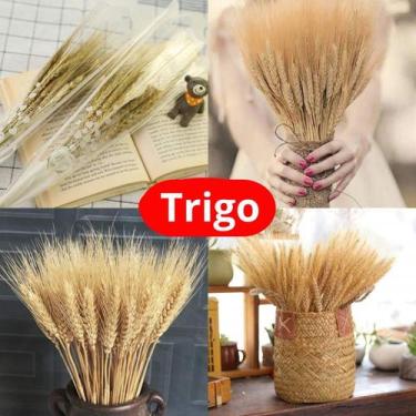 Imagem de Trigo Alvejado para Decoração c/ aprox. 40 hastes - Ressecadas Colorid