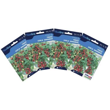 Imagem de TOPSEED, 4X Sementes de Tomate Cereja Samambaia Blueline TOPSEED