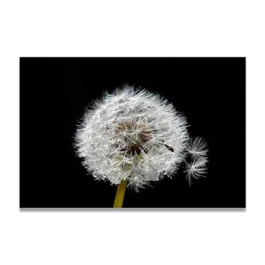 Imagem de Pintura em tela de arte de parede, separação de duas sementes, impressão de pôster para sala de estar, quarto, cozinha, escritório, 75 x 50 cm