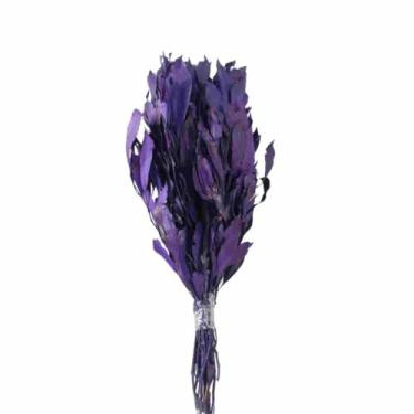 Imagem de Planta Seca Carne de Vaca Roxa 50cm