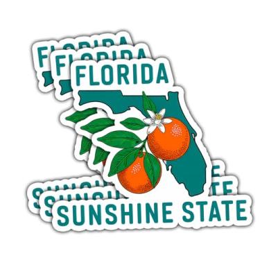 Imagem de Adesivo Florida Sunshine State com design de frutas laranjas, decalque de vinil vintage com mapa da Flórida para laptop, garrafa de água, carro, refrigerador ou bagagem (7,6 cm) (normal, 7,6 cm)