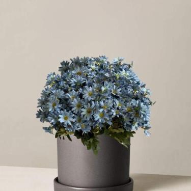 Imagem de Kit 12 Buquês Flor do Campo para Decoração de Flores Artificiais: Preç