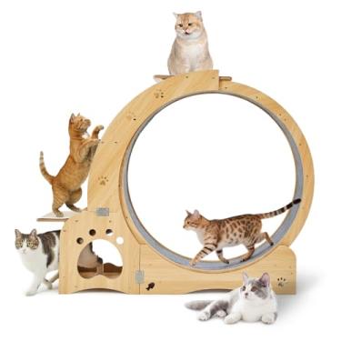 Imagem de Passadeira de exercícios 5 em 1 para gatos em ambientes internos, com corrida silenciosa, túnel, rodas para ambientes internos