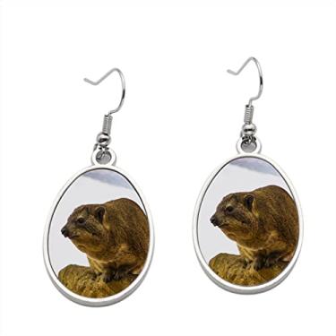 Imagem de Dassie Rock Hyrax Procavia Capensis On Cliffs At Hermanus Brinco - Brincos com pingente para meninas - Presente de festa de aniversário dos namorados