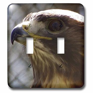 Imagem de 3dRose lsp_57074_2 A close up of a Hawk interruptor duplo