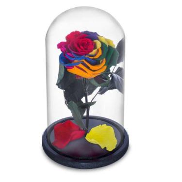 Imagem de Rosa Encantada a Bela e a Fera na Cúpula de Vidro Cod 18 - Preservadas