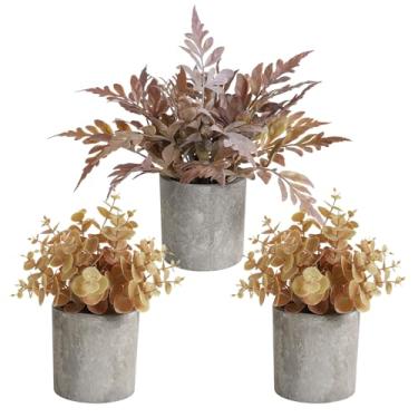 Imagem de RUIDKUN Pacote com 3 mini plantas falsas de outono de eucalipto de plástico artificial para decoração de outono para casa, escritório, mesa, banheiro, mesa de café e prateleira