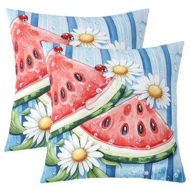 Imagem de Manfei Capa de almofada infantil melancia, margarida, joaninha, fruta tropical, Havaí, verão, dois lados, listras, geométricas, azul, capa de almofada para sofá, 2 unidades, 61 cm x 61 cm