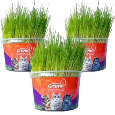 Imagem de Kit 3un Graminha para Gatos - Mister Grama - GRUPO MISTER