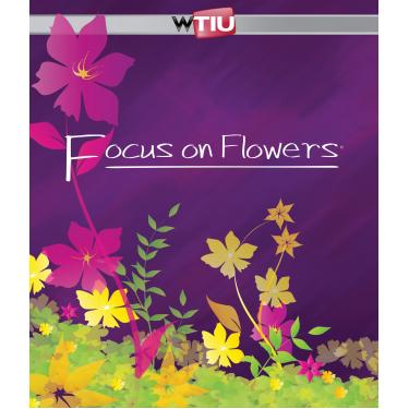 Imagem de Focus on Flowers