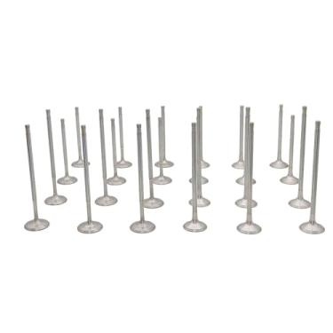 Imagem de McrGinly 24 válvulas de admissão de motor e kit de válvulas de escape compatíveis com A8 Q7 A3 Quattro TT Quattro Superb CC EOS Atlas Passat Teramont Touareg Transporter Golf R32 022109601G 022109601H