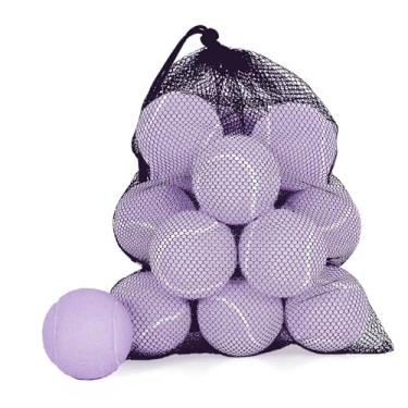 Imagem de MRYCZ FYRHD Pacote com 18 bolas de tênis, bolas de tênis de treinamento de pressão avançada, bolas de brincar de cachorro de estimação, bolas de tênis de prática com bolsa de malha e amortecedores