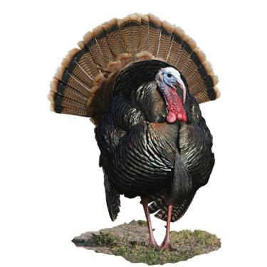Imagem de Mossy Oak Graphics (24030-C) 'Eastern Wild Turkey Looking to the Left' recorte gráfico interno