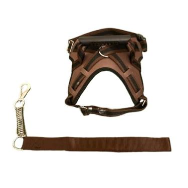 Imagem de Coleira peitoral para cachorro reforçada com nome na guia cachorro de pequeno mdio e grande porte para passeios com mola(MARROM,G)