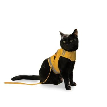 Imagem de CAT SCHOOL Conjunto de coleira e coleira para gatos para caminhadas ao ar livre, treinamento e viagens, seguro, macio e confortável com coleira longa para gatos de 3,5 m, fácil de usar (amarelo, P/M)