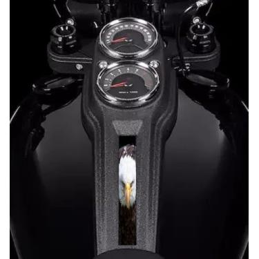 Imagem de American Eagle Dyna Painel Painel Painel Inserção! Serve para Harley Davidson 2018 a 2021 Dyna Low Rider Bikes