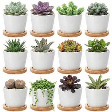 Imagem de Hsei Pacote com 12 mini vasos de plantas suculentas de 6 cm, pequeno vaso de flores de cerâmica com bandeja de bambu, recipiente de ervas para cactos de jardim, decoração de escritório em casa para