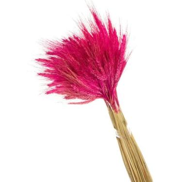 Imagem de Trigo Pink Desidratado p/ Decoração - Tem Flores